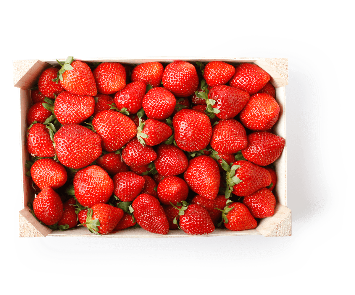 Maduixot 2kg caixa