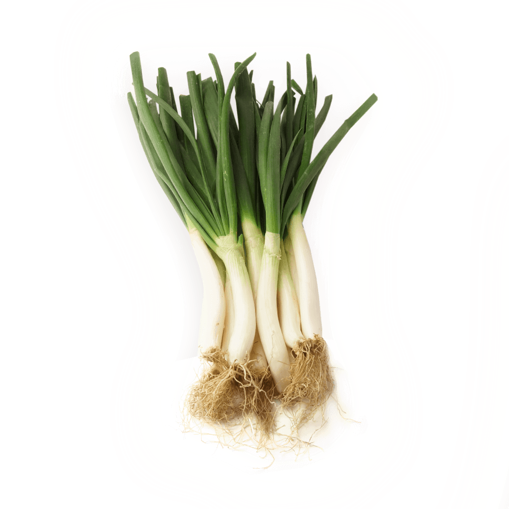 Calçots 25 unitats