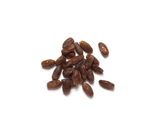 305-datil 305-datil