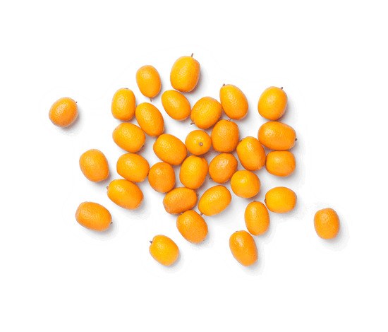 313-cumquat 313-cumquat