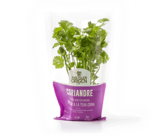 478-planta-coriandre 478-planta-coriandre