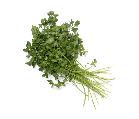 529-julivert-i-manat 529-julivert-i-manat