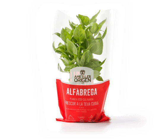 471-planta-alfabrega 471-planta-alfabrega