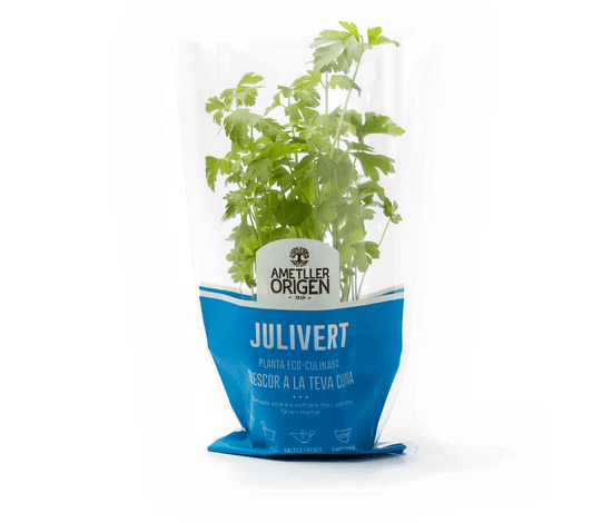475-planta-julivert 475-planta-julivert