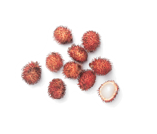 351-rambutan 351-rambutan