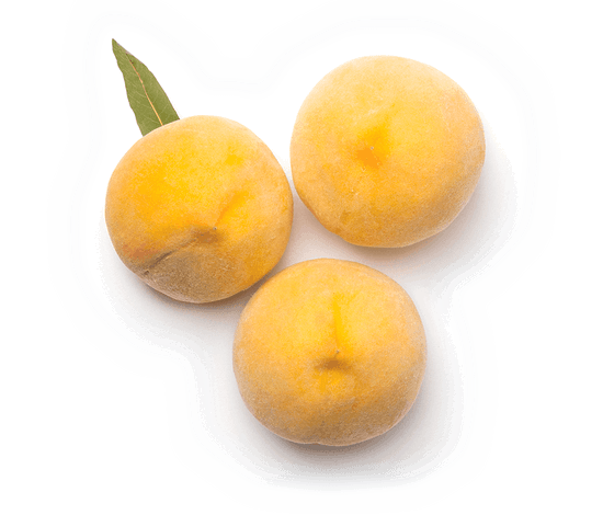 Préssec Calanda Especial