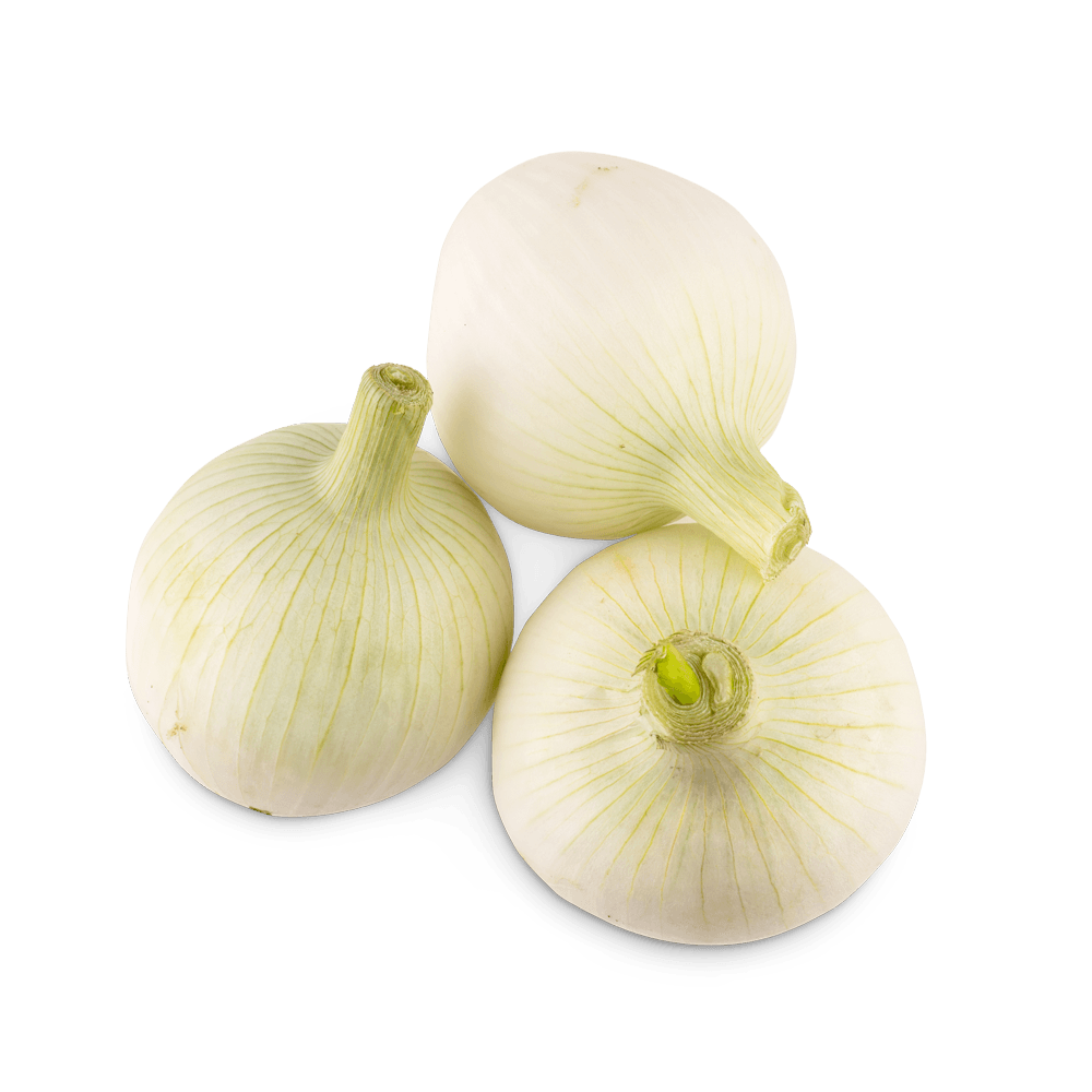 Ceba Tendra Tallada
