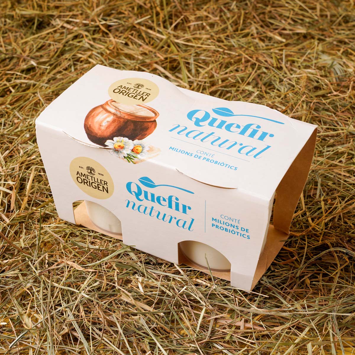 KÃ©fir Natural Ametller Origen 125g 2u.