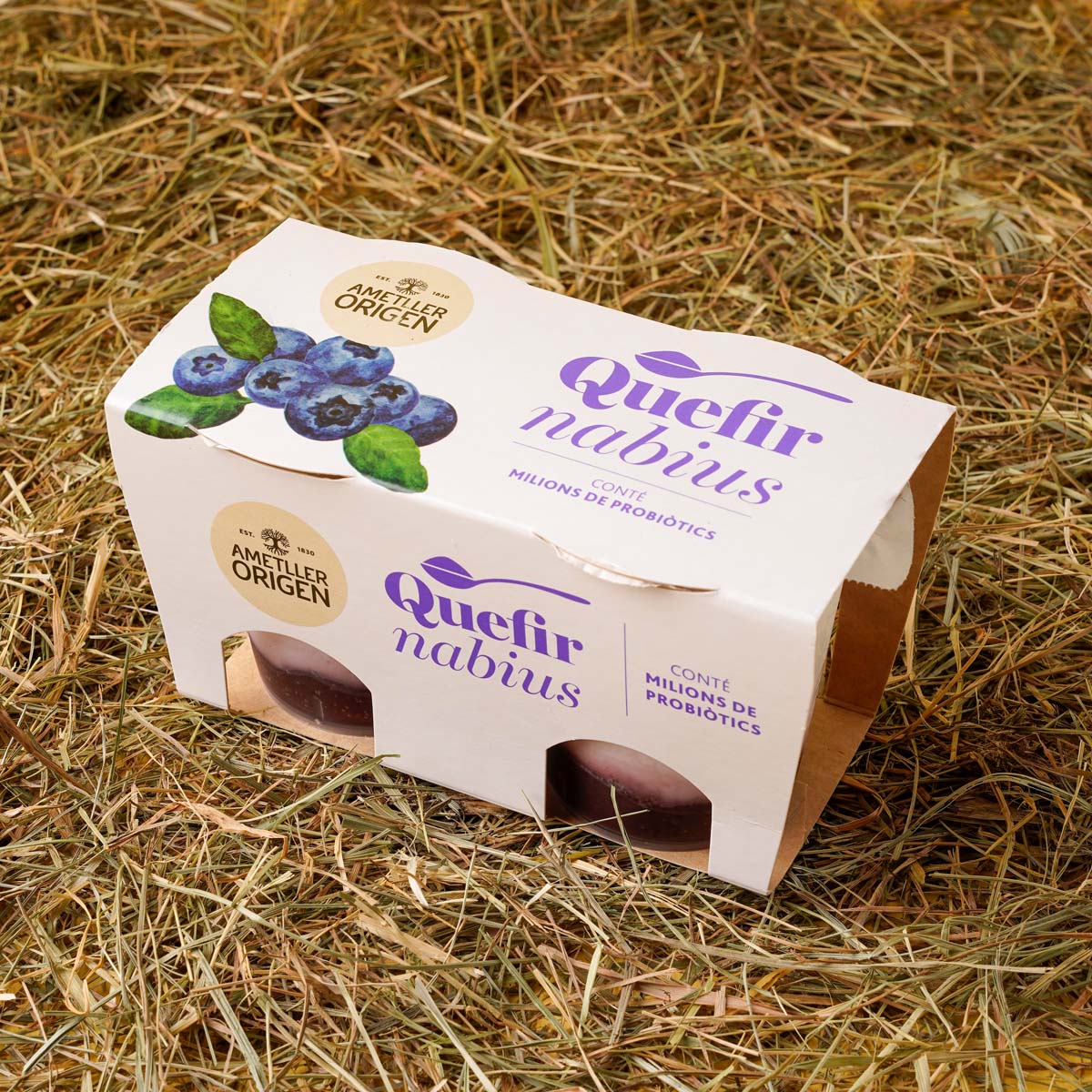 KÃ©fir Con ArÃ¡ndanos Ametller Origen 125g 2u